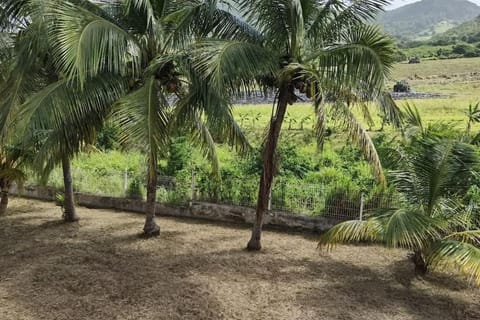 Natural landscape, Garden, Garden view, Mountain view