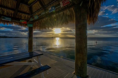 2BR in Key largo w pool and sunset views Apartment hotel in Key Largo