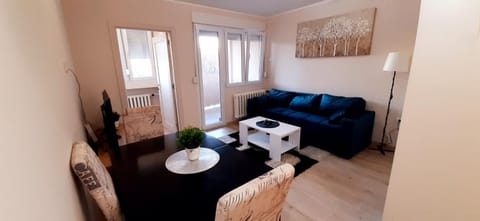 Apartman Studenjak Apartment in Belgrade
