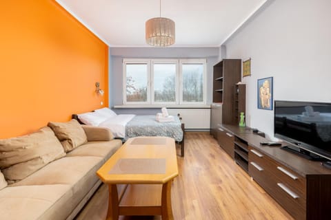 Communal lounge/ TV room, Bed, TV and multimedia, Living room, Photo of the whole room, Seating area, Evening entertainment, Bedroom