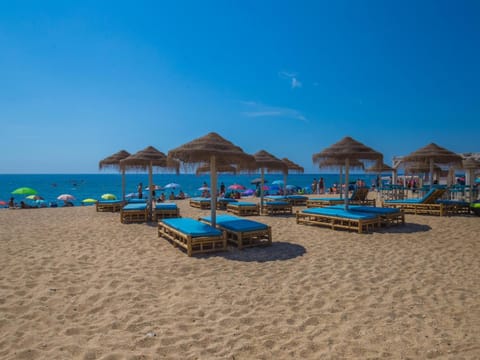 Day, Beach, Sea view, sunbed