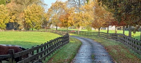 Natural landscape
