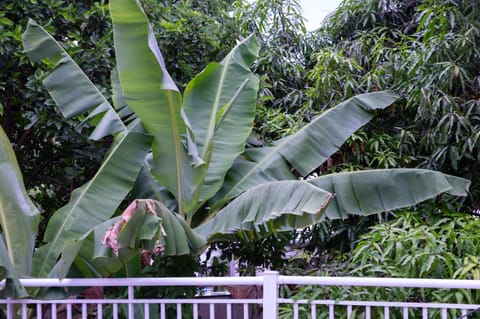 Vacances agréables c'est ici House in Le Gosier