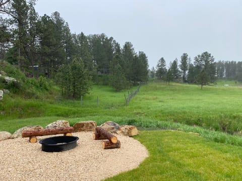 Bearded Buffalo Resort Apartment in Custer