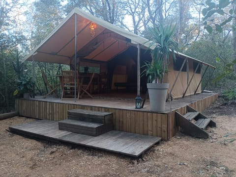 Property building, Garden, Garden view