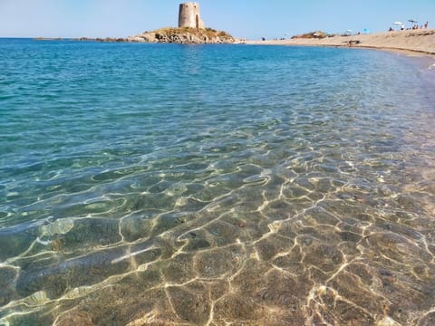 Natural landscape, Beach