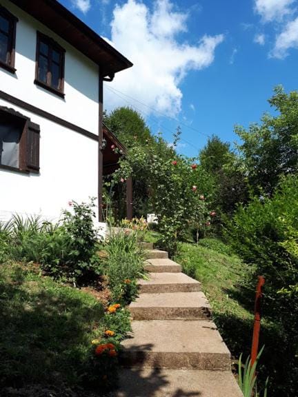 Property building, Spring, Day, Garden, Garden view