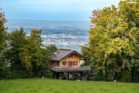 Property building, Natural landscape