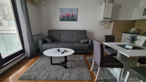 Stan Na Dan 022 Apartment in Vojvodina