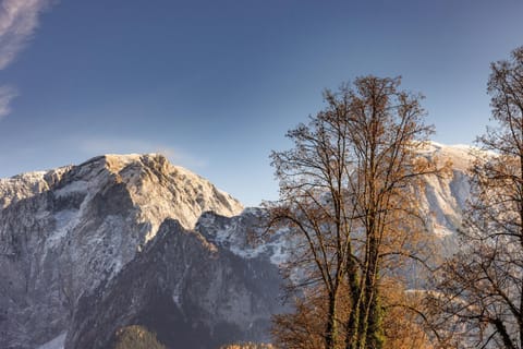 Haus Theresienwiese Apartment in Schönau am Königssee