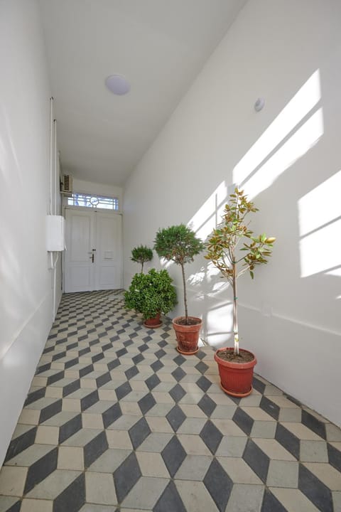 Čudesni drvored Bed and Breakfast in Timiș County