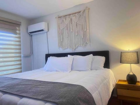 Luxury home, Jacuzzi/Rooftop, King, A/C, Netflix House in State of Querétaro