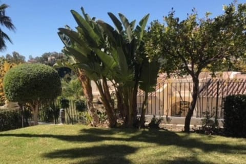 Apartment in Marbella: San Pedro Alcantara Apartment in Marbella