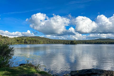 SoMoguly House in Plymouth