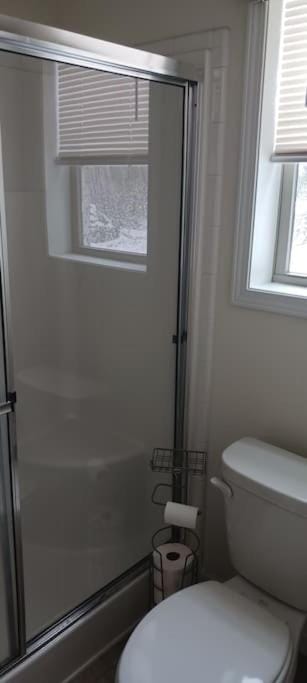 Secluded lodge in the woods. House in Wisconsin