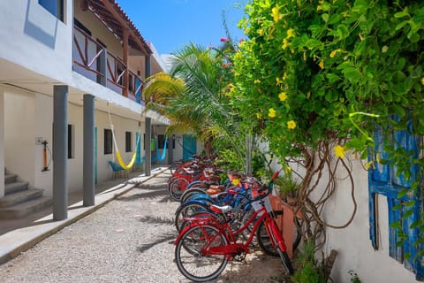 Property building, Spring, Day, Cycling, Garden view
