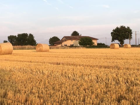 Property building, Natural landscape