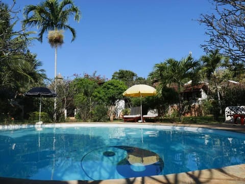 Day, Garden, Garden view, Pool view, Swimming pool