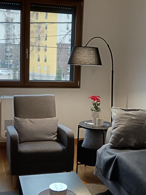 Zemun residence Apartment in Belgrade