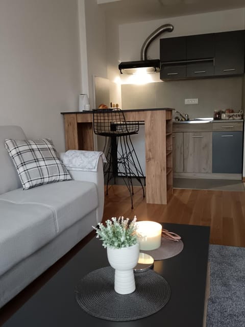 Zemun residence Apartment in Belgrade