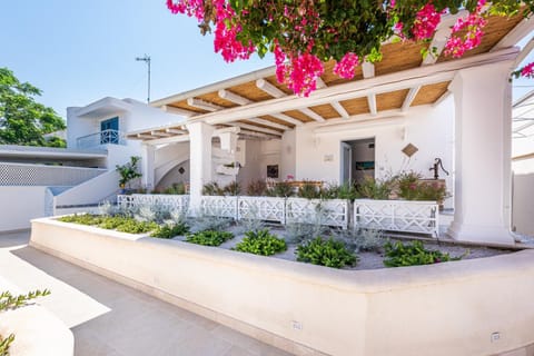 Day, Garden view