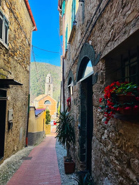 Spring, Natural landscape, Mountain view