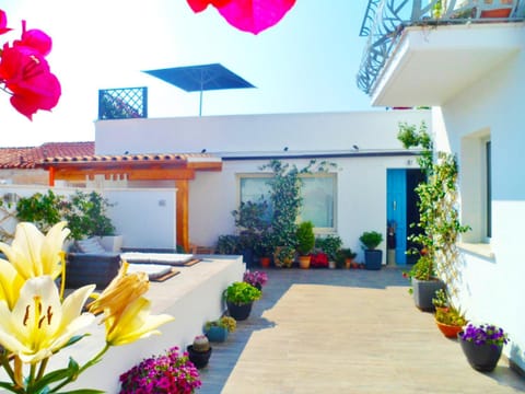 Garden, Balcony/Terrace