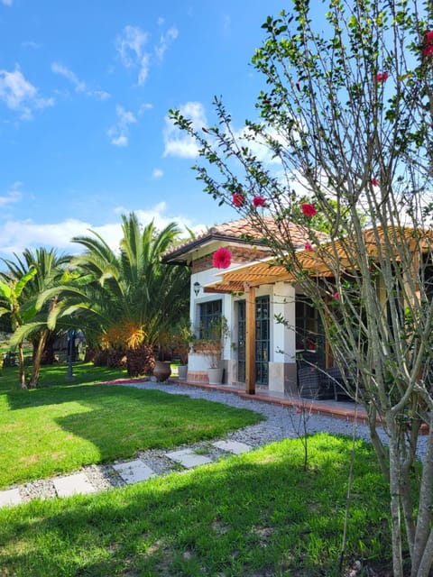 Property building, Day, Natural landscape, Garden, Garden view