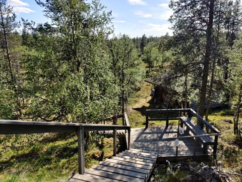 Day, Natural landscape, Garden