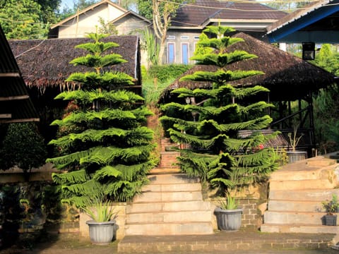 Property building, Day, Garden, Garden view