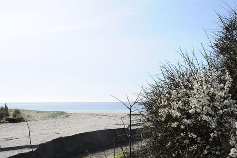 Entre ciel et mer - La maison de la pointe House in Trégunc