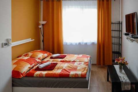 Bedroom, wardrobe, air conditioner