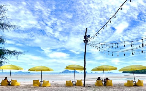 Spring, Day, Natural landscape, Beach, sunbed