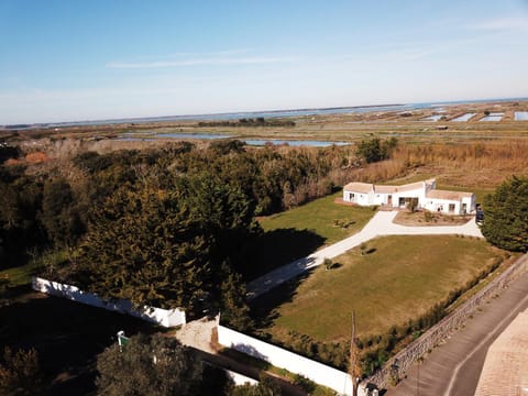 Property building, Garden view