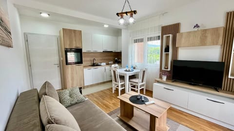 TV and multimedia, Kitchen or kitchenette, Living room, Seating area, Dining area, oven, stove
