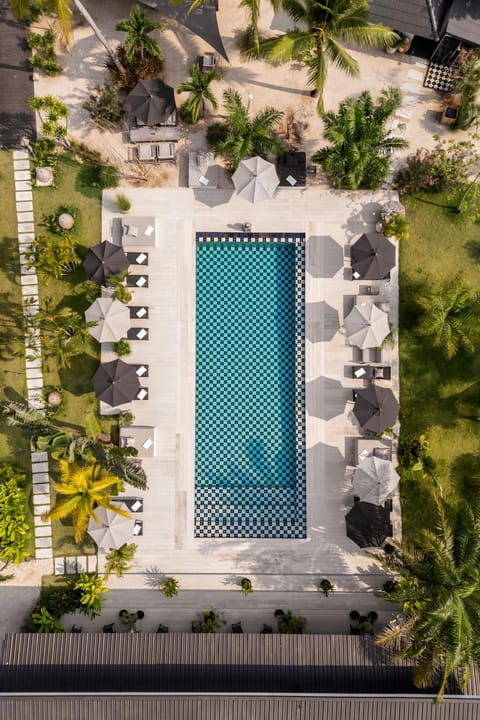 Day, Bird's eye view, Swimming pool, sunbed