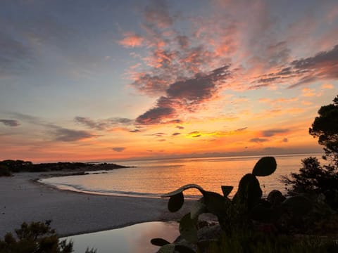 Beach, Sunset
