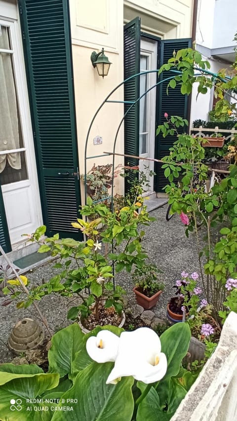 La casa tra il verde e il mare Apartment in Viareggio