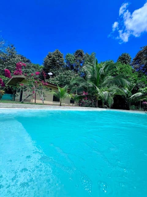 Garden, View (from property/room), Pool view, Swimming pool