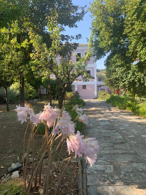 Property building, Garden
