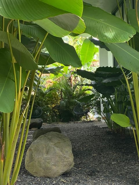 Garden, Garden view