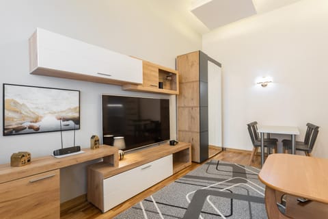 TV and multimedia