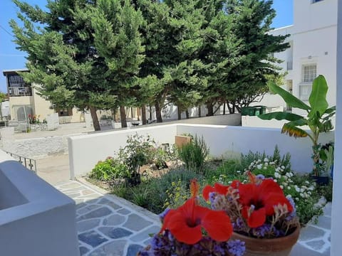 Day, Garden, Garden view