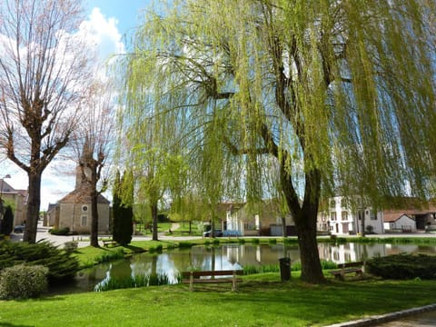 Spring, Natural landscape, Summer