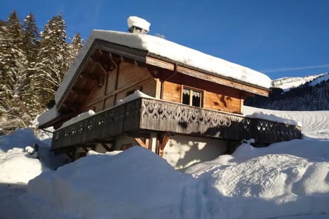 Property building, Natural landscape, Garden