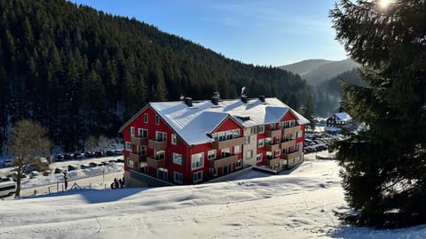 Property building, Winter