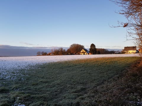 Natural landscape