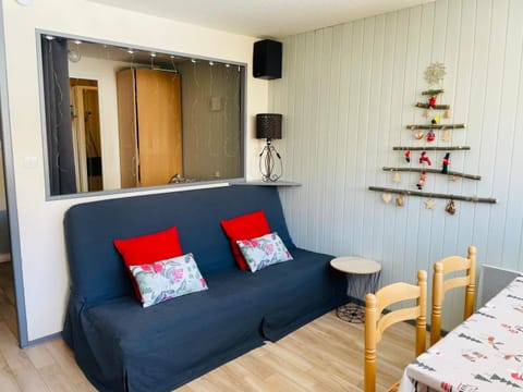 Studio pied de pistes Tour de la Biche Apartment in Besse-et-Saint-Anastaise