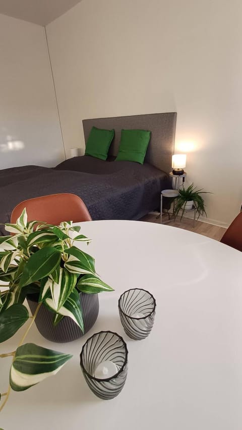 Free Parking Center Of The City Studio Aalborg Apartment in Aalborg