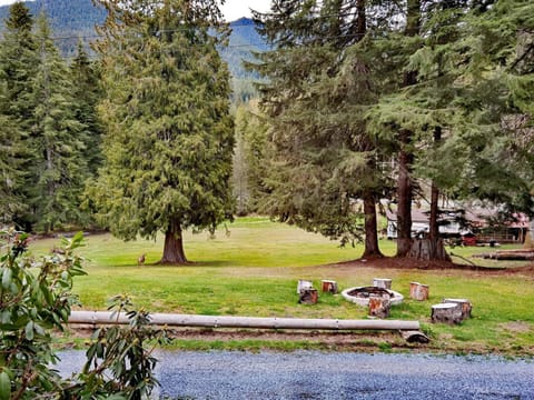 Patio, Day, Natural landscape, Garden, Garden view, Mountain view